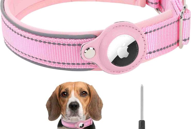 AirTag dog collar