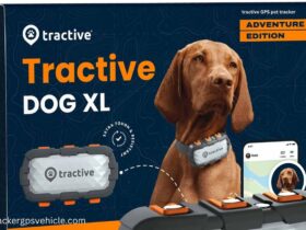 Tractive GPS Pet Tracker